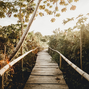 牛牛影视亚洲AV成人片
